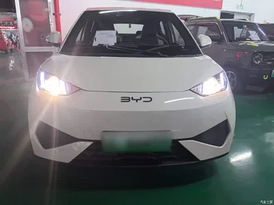 2025 BYD Seagull Smart Drive Edition 305km Vitality Version, фото 3, лот 10390236