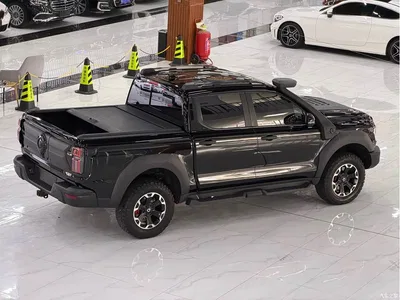 2023 Great Wall Shanhai Cannon 3.0T V6 Gasoline Performance Edition, фото 4, лот 11172315