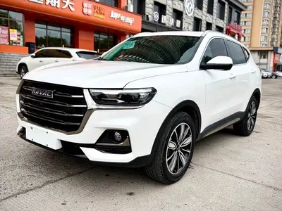 2023 Haval H6 National Trend Edition 1.5T Automatic Champion, фото 1, лот 10283579