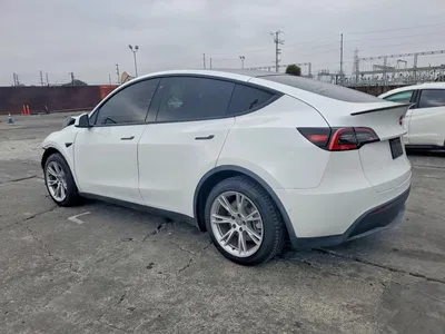 2020 TESLA MODEL Y, фото 2, лот 11184926
