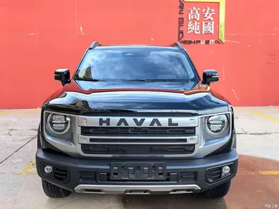 2024 Haval Big Dog 1.5T DCT Border Collie Edition, фото 1, лот 10361567