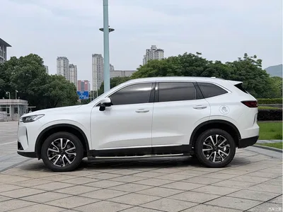 2021 Haval H6 3rd Generation 1.5T Auto 2WD Max, фото 4, лот 10281818