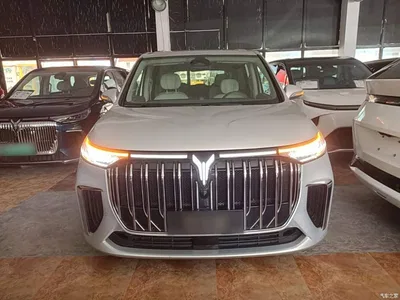 2024 Voyah Auto Voyah Dreamer PHEV Extended Range Premium Edition, фото 3, лот 10358018