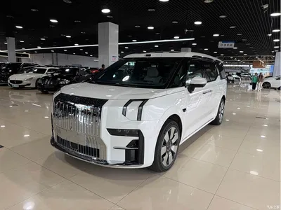 2024 ZEEKR 009 7-seat Aisle AWD 140kWh, фото 1, лот 11224545