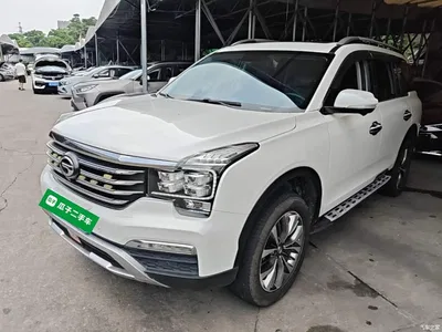 2017 GAC Trumpchi Trumpchi GS8 320T AWD Luxury Smart Connect (7-Seater), фото 1, лот 10421826