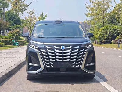 2025 Denza D9 DM-i Smart Drive Edition 1020 AWD Prestige, фото 2, лот 10350998