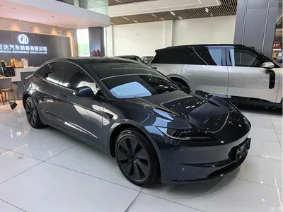 2023 Tesla Model 3 Rear-Wheel Drive, фото 3, лот 10356942