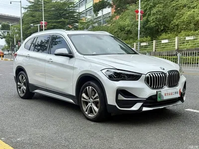 2020 BMW X1 New Energy xDrive30Le Premium Edition, фото 2, лот 10394471