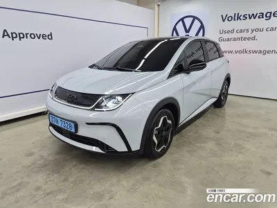 2026 BYD Dolphin Base, фото 1, лот 10201536