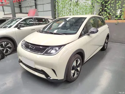 2025 BYD Dolphin 420km Freedom Edition, фото 2, лот 10264242