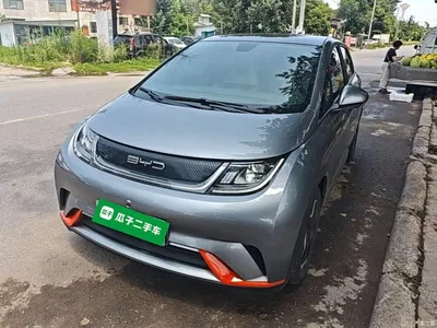 2021 BYD Dolphin Model 405km Fashion Edition, фото 2, лот 10264145