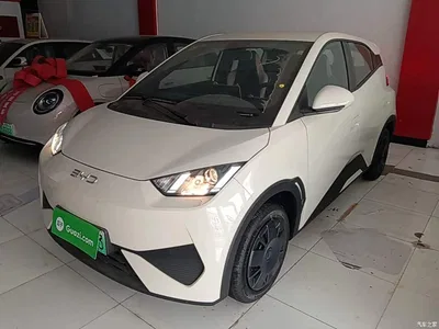 2025 BYD Seagull Smart Drive Edition 305km Vitality Version, фото 2, лот 10260645