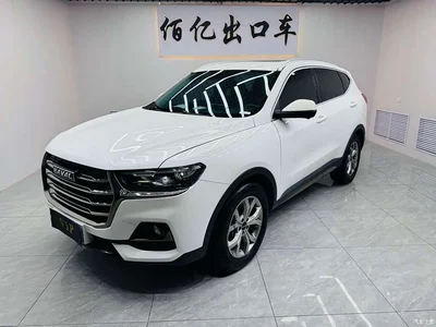 2023 Haval H6 National Trend Edition 1.5T Automatic Champion, фото 1, лот 10905206