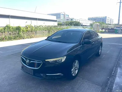 2017 Buick Regal 20T Elite Type, фото 1, лот 10244602