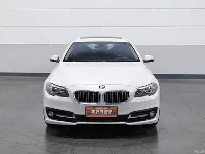 2014 BMW 5 Series (Import) 520i Classic, фото 3, лот 10837127