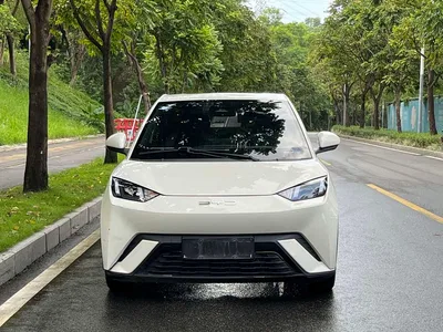 2023 BYD Seagull Flying Edition, фото 2, лот 10385120