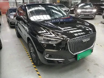 2019 Haval F5 National Trend Edition 1.5T iStyle China VI, фото 4, лот 11502587