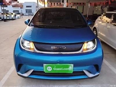 2021 BYD Dolphin Model 405km Fashion Edition, фото 3, лот 11104172