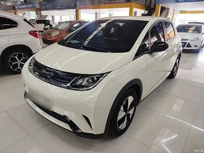 2023 BYD Dolphin 420km Freedom Edition, фото 1, лот 10264406