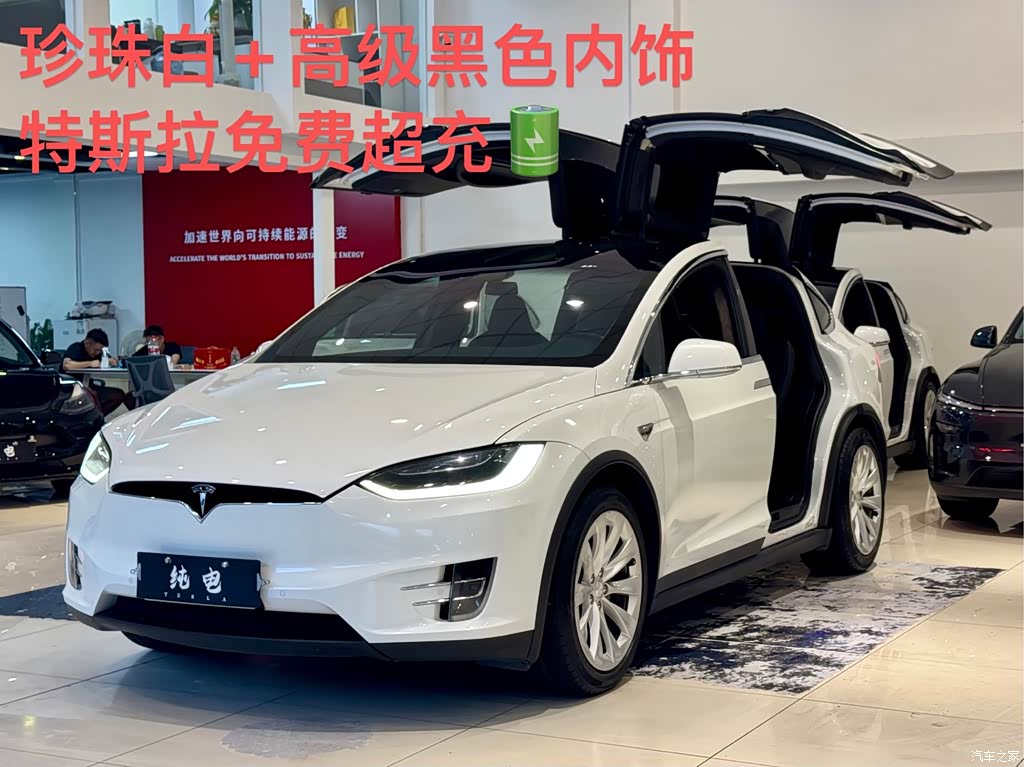 2016 Tesla Model X 75D, фото 1, лот 11133865