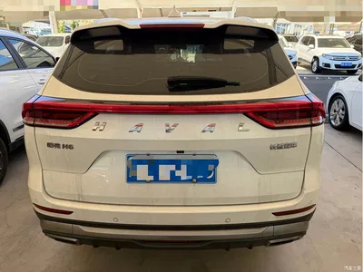 2021 Haval H6 National Trend Edition 1.5T Automatic Urban Edition, фото 3, лот 10999371