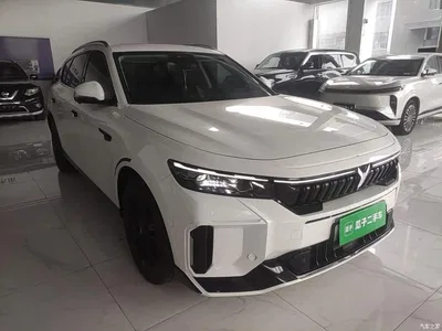 2024 Voyah Auto VOYAH FREE Ultra Long Range Intelligent Driving Edition, фото 4, лот 10311539