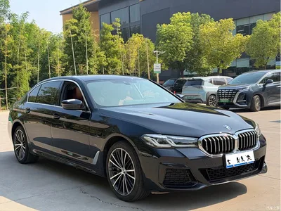 2022 BMW 5 Series Facelift 530Li Leading M Sport Package, фото 3, лот 10449462