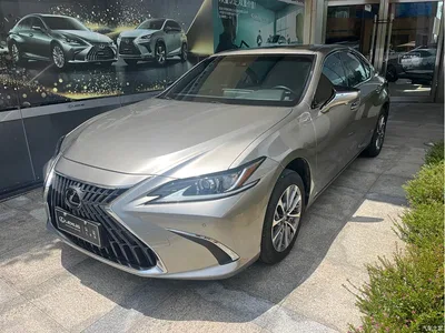 2022 Lexus ES 300h Excellence Edition, фото 1, лот 10315864