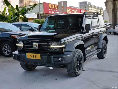 2021 Tank 300 Off-road Edition 2.0T Explorer, фото 2, лот 10344734