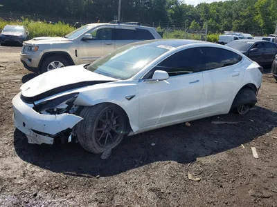 2019 TESLA MODEL 3, фото 1, лот 10854325