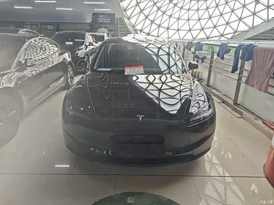 2023 Tesla Model 3 Rear-Wheel Drive, фото 3, лот 10515141