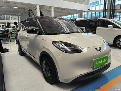 2023 Wuling Motors Wuling Bingo 333km Joyful Version, фото 4, лот 10369792
