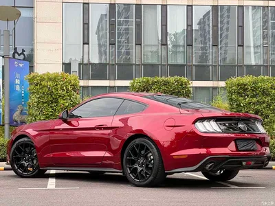 2019 Ford Mustang 2.3L EcoBoost, фото 4, лот 10442159