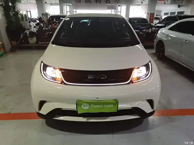 2024 BYD Dolphin Glory Edition 420km Freedom Edition, фото 3, лот 11244051