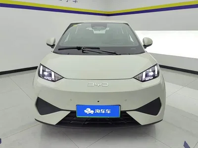 2025 BYD Seagull Smart Drive Edition 305km Freedom Version, фото 2, лот 10246498