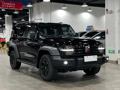 2021 Tank 300 Off-road Version 2.0T Conqueror, фото 2, лот 10345043