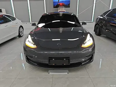 2019 Tesla Model 3 Standard Range Rear-Wheel Drive Upgrade, фото 3, лот 10369397