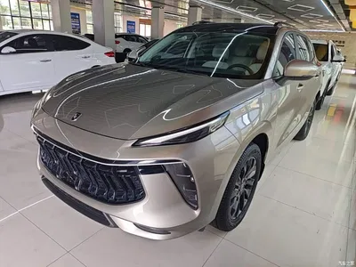 2021 Dongfeng Fengxing T5 EVO 1.5TD DCT Platinum Edition, фото 1, лот 11158876