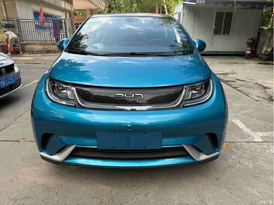 2021 BYD Dolphin Model 405km Fashion Edition, фото 2, лот 10256761