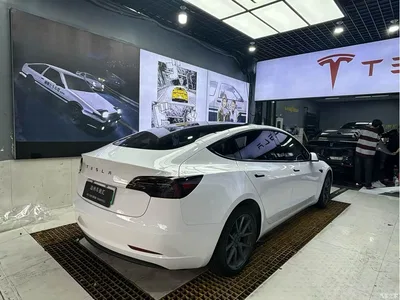 2021 Tesla Model 3 Standard Range Rear-Wheel Drive Upgrade 3D6, фото 3, лот 10368612