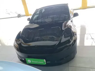 2023 Tesla Model 3 Rear-Wheel Drive, фото 3, лот 11133215