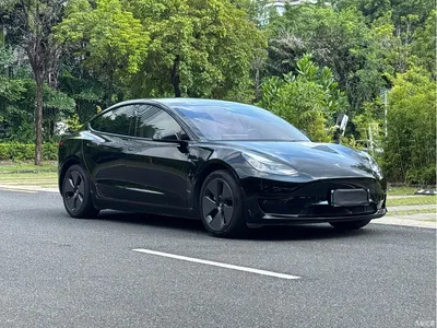 2021 Tesla Model 3 Standard Range Rear-Wheel Drive Upgrade, фото 3, лот 10453857