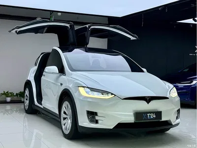 2019 Tesla Model X Long Range Version, фото 3, лот 10355568
