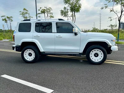 2024 Tank 300 2.0T Explorer, фото 4, лот 10397939