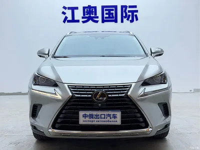 2018 Lexus NX Model 200 AWD Fengshang Edition China V, фото 2, лот 10395923
