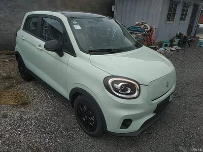 2025 Leapmotor T03 Model 310 Comfort Edition, фото 4, лот 10442355