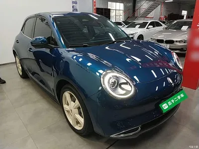 2023 Ora Good Cat 401km Standard Range Luxury LFP, фото 4, лот 11177645