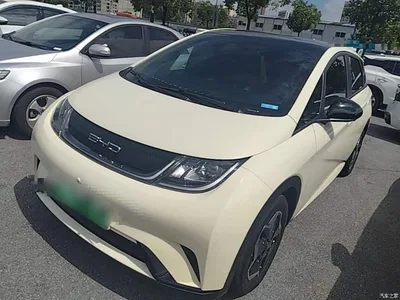 2021 BYD Dolphin Model 405km Fashion Edition, фото 1, лот 10264170