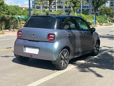 2021 Ora Black Cat 405km Long Range Model, фото 4, лот 10330643