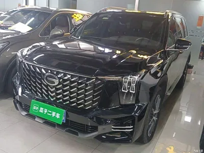 2024 GAC Trumpchi Trumpchi GS8 Navigator Series 2.0TGDI 2WD Luxury Smart Connect Edition, фото 2, лот 10422863